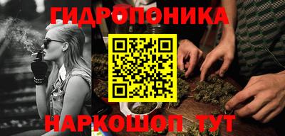a pvp Кингисепп