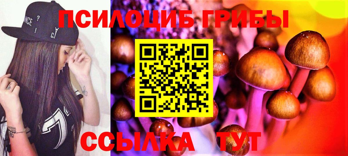 Псилоцибиновые грибы мицелий Краснознаменск